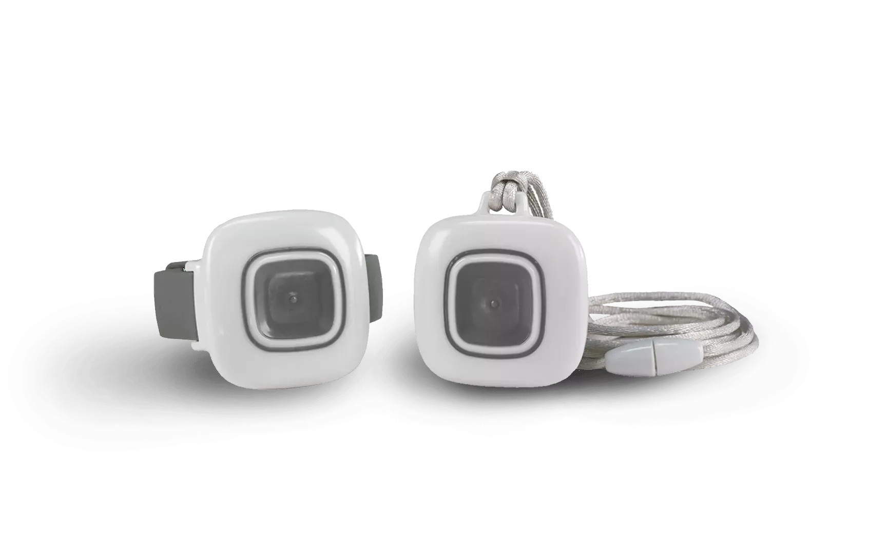 Securitas Arial Pendants